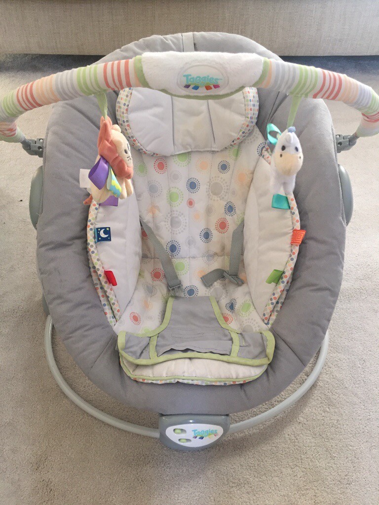 taggies soft n snug bouncer